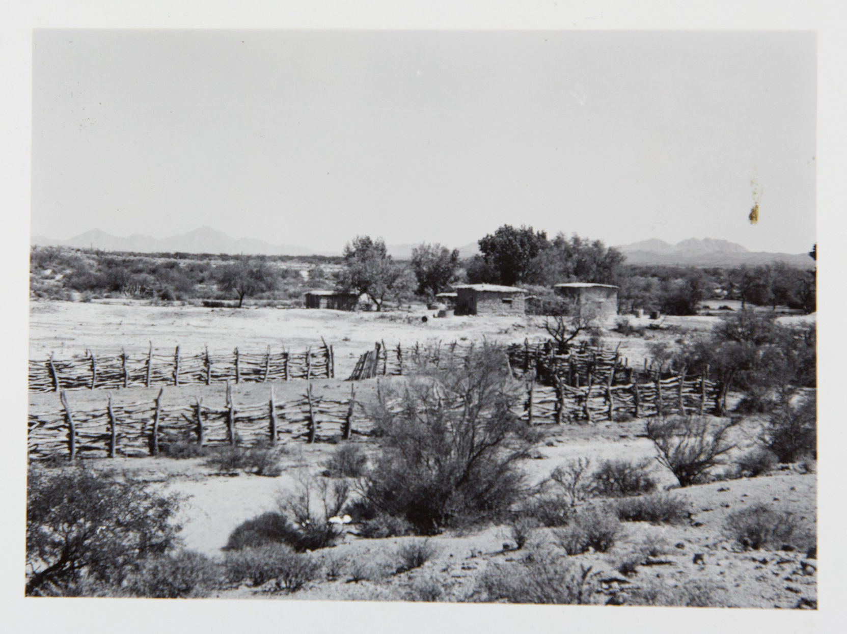 Quitobaquito Springs, 1942